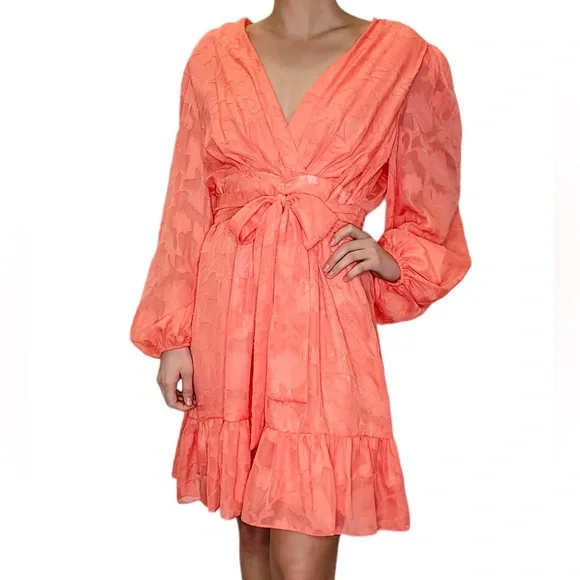Alex Marie Coral Long Sleeve TieWaist VNeck Tiered Dress Women’s SZ 8 MSRP $158 - Picture 2 of 11